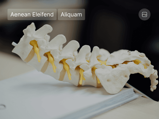 Ayurvedic Treatment For Joint Pain